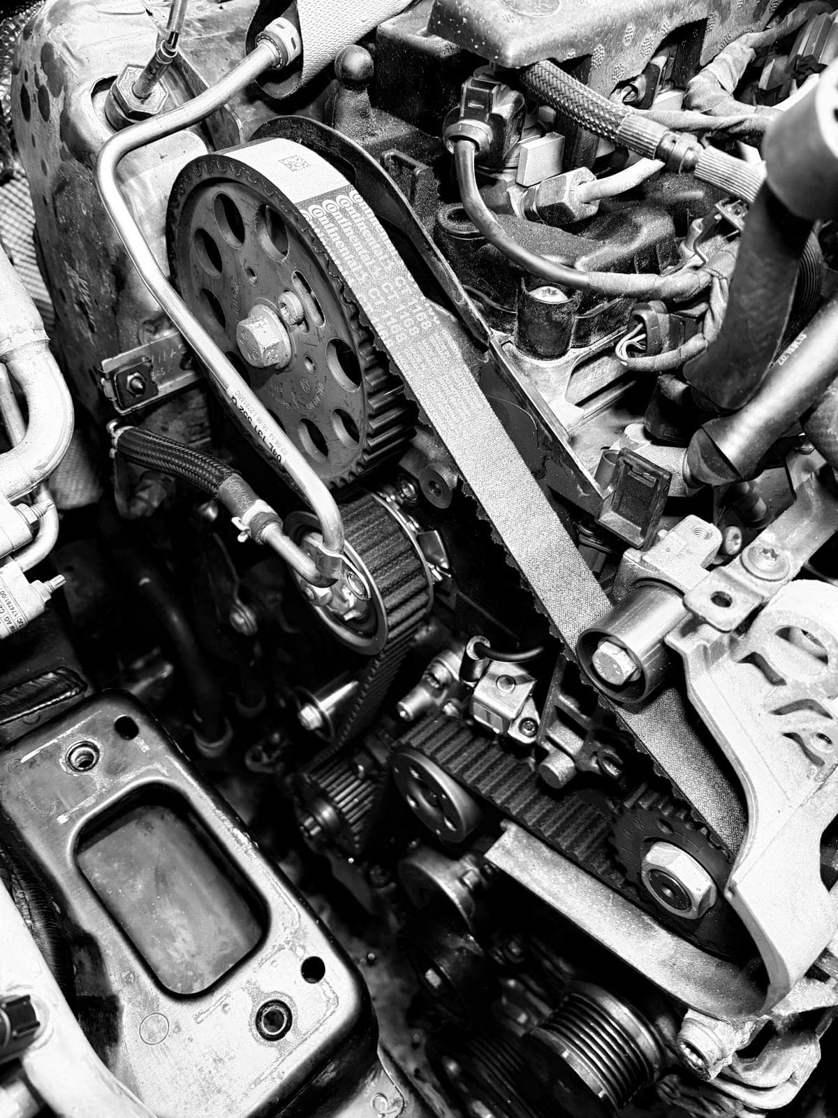 Courroie de distribution et poulies moteur en noir et blanc